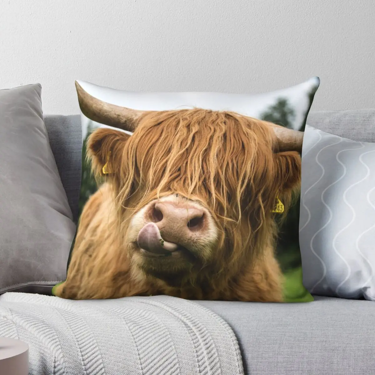 Highland коровья квадратная подушка чехол полиэстер льняная бархатная креативная Декоративная Подушка на молнии
Highland коровья квадратная подушка чехол полиэстер льняная бархатная креативная Декоративная Подушка на молнии