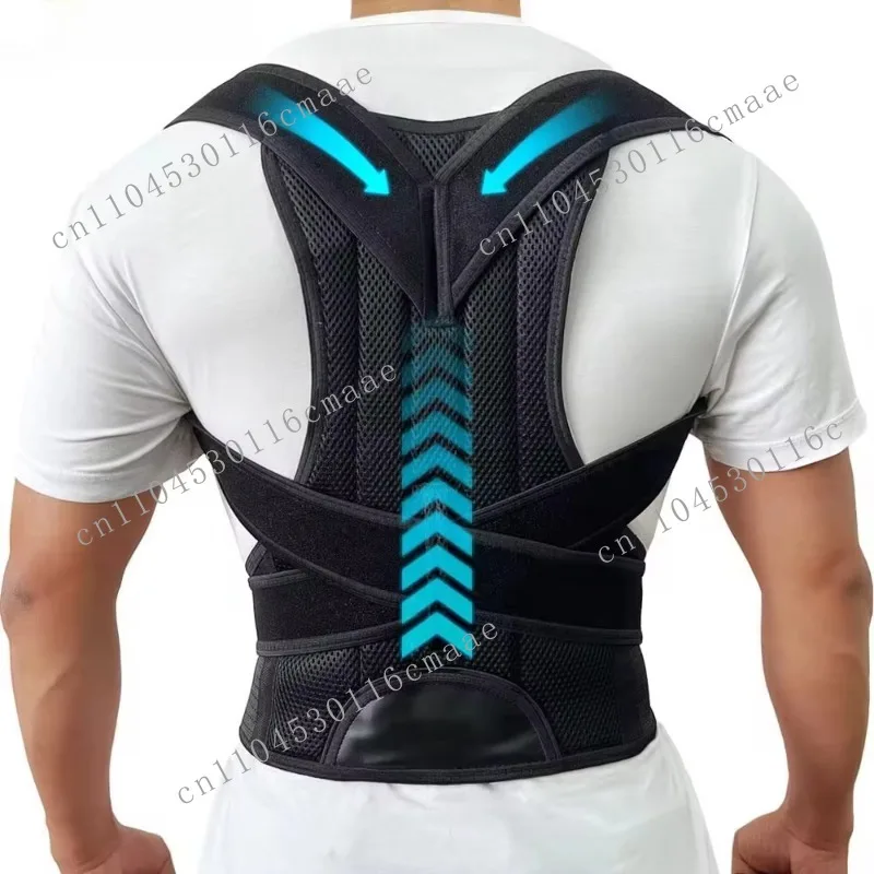 Male and Female Back Aligners, Back Aligners, Scoliosis and Hunchback Aligners, Adjustable Posture Trainers
Male and Female Back Aligners, Back Aligners, Scoliosis and Hunchback Aligners, Adjustable Posture Trainers