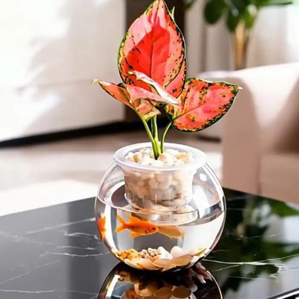 Creative Transparent Hydroponic Vase Plastic Decorative Flower Pot Mini Fish Tank Office
Creative Transparent Hydroponic Vase Plastic Decorative Flower Pot Mini Fish Tank Office