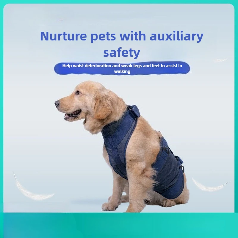 Поводок для домашних животных, прогулка собак, ручной нагрудный ремень, вспомогательная одежда для собак, товары для домашних животных
Поводок для домашних животных, прогулка собак, ручной нагрудный ремень, вспомогательная одежда для собак, товары для домашних животных