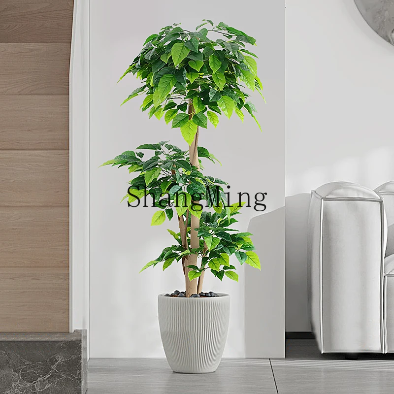 HJ simulated green plant happiness tree indoor living room fortune tree ornament bionic plant landscaping potted plant
HJ simulated green plant happiness tree indoor living room fortune tree ornament bionic plant landscaping potted plant