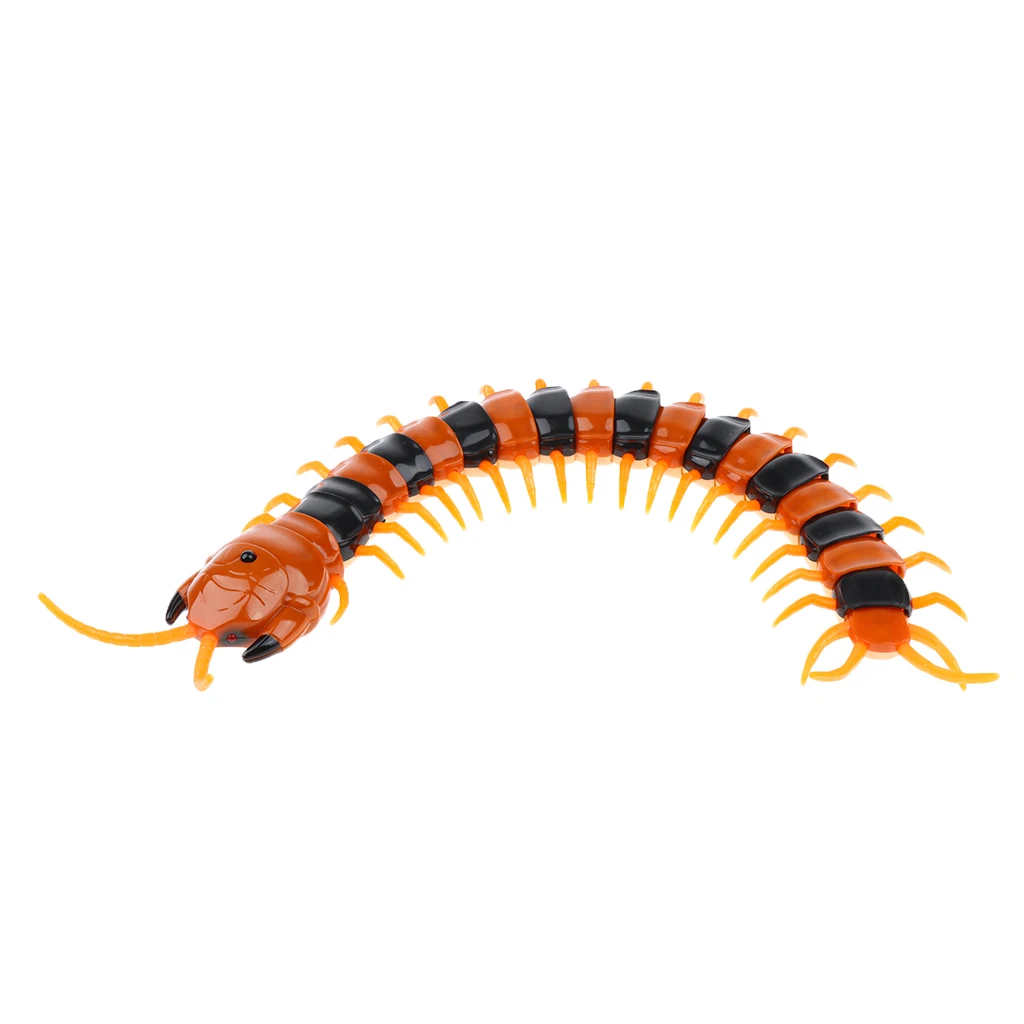 Infrared Remote Control Scolopendra Centipede Kids Animal Toy Electric RC Toys for Boys Children Play
Infrared Remote Control Scolopendra Centipede Kids Animal Toy Electric RC Toys for Boys Children Play