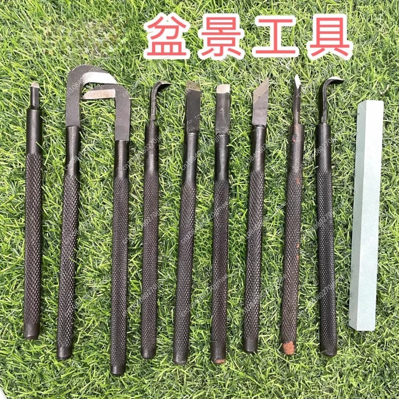 Bonsai Wire Carving Tool Set, Forged Sculpting Knife Professional Styling Tools for Bonsai Artists
Bonsai Wire Carving Tool Set, Forged Sculpting Knife Professional Styling Tools for Bonsai Artists