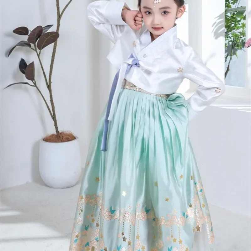 Girls' Traditional Korean Hanbok 2025 New Hanbok Dance Ethnic Children's Stage Performance Costume Students Simple Hanbok LI092
Girls' Traditional Korean Hanbok 2025 New Hanbok Dance Ethnic Children's Stage Performance Costume Students Simple Hanbok LI092