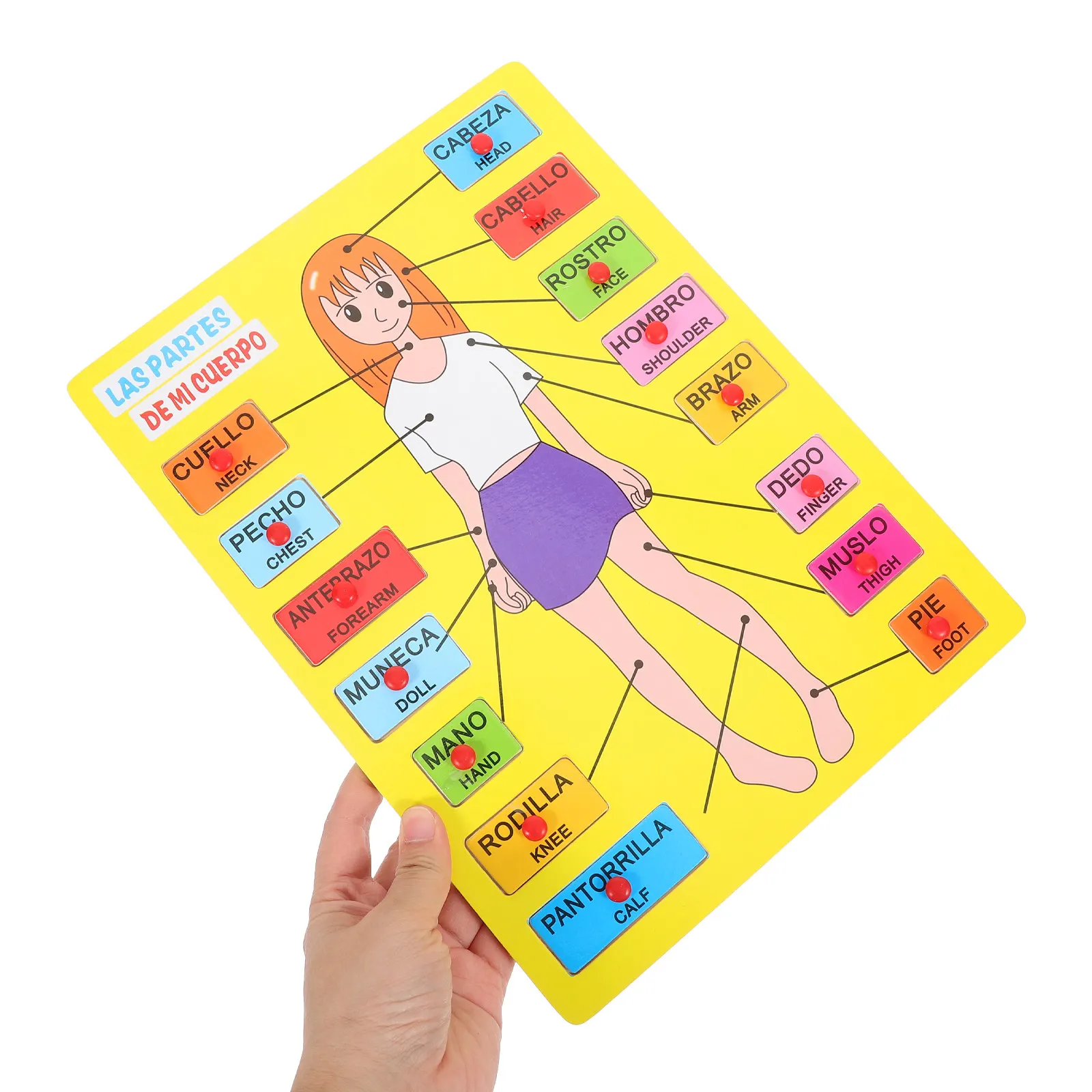 1Set Eco Friendly Wooden Human Body Puzzle Board Educational Learning Tool for Children Body Parts Recognition Preschool
1Set Eco Friendly Wooden Human Body Puzzle Board Educational Learning Tool for Children Body Parts Recognition Preschool