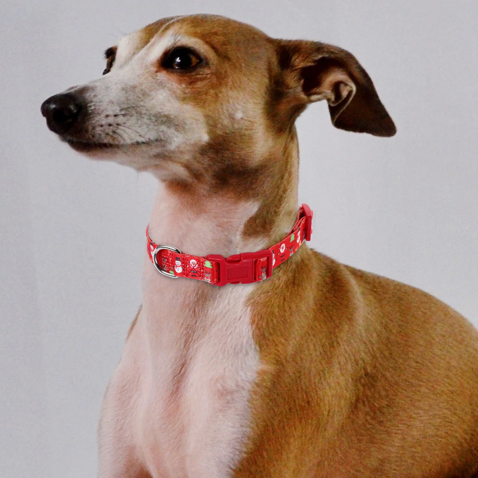 Small Adjustable Christmas Dog Collar Lightweight Safety Buckle Decorative Pet Collar for Holiday Gathering Dog Holiday Collars
Small Adjustable Christmas Dog Collar Lightweight Safety Buckle Decorative Pet Collar for Holiday Gathering Dog Holiday Collars