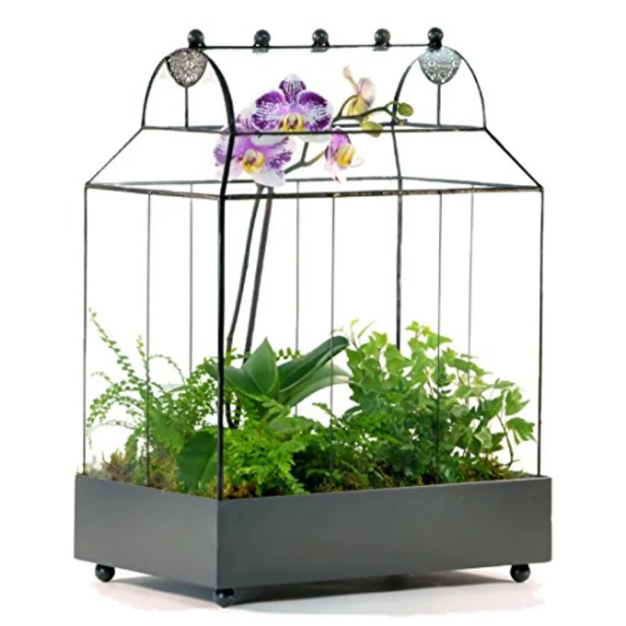 Indoor tabletop planter application, glass and metal material, clear and silver color, curved glass design for optimal plant vi
Indoor tabletop planter application, glass and metal material, clear and silver color, curved glass design for optimal plant vi