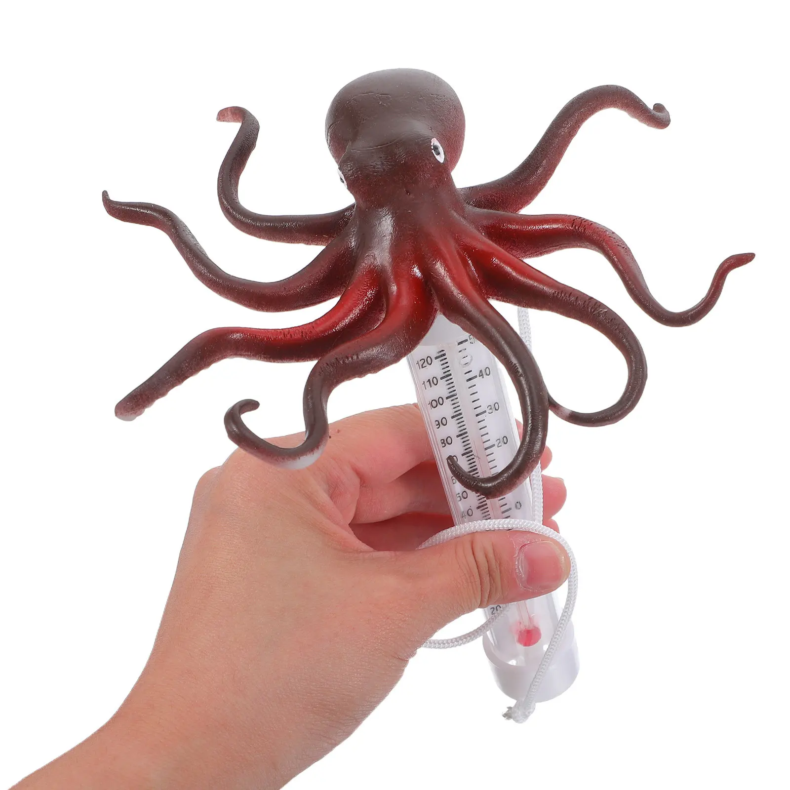 Floating Octopus Pool Thermometer Precise Water Temperature Gauge for Swimming Pools Hot Tubs Spas Pond Fish Tanks
Floating Octopus Pool Thermometer Precise Water Temperature Gauge for Swimming Pools Hot Tubs Spas Pond Fish Tanks