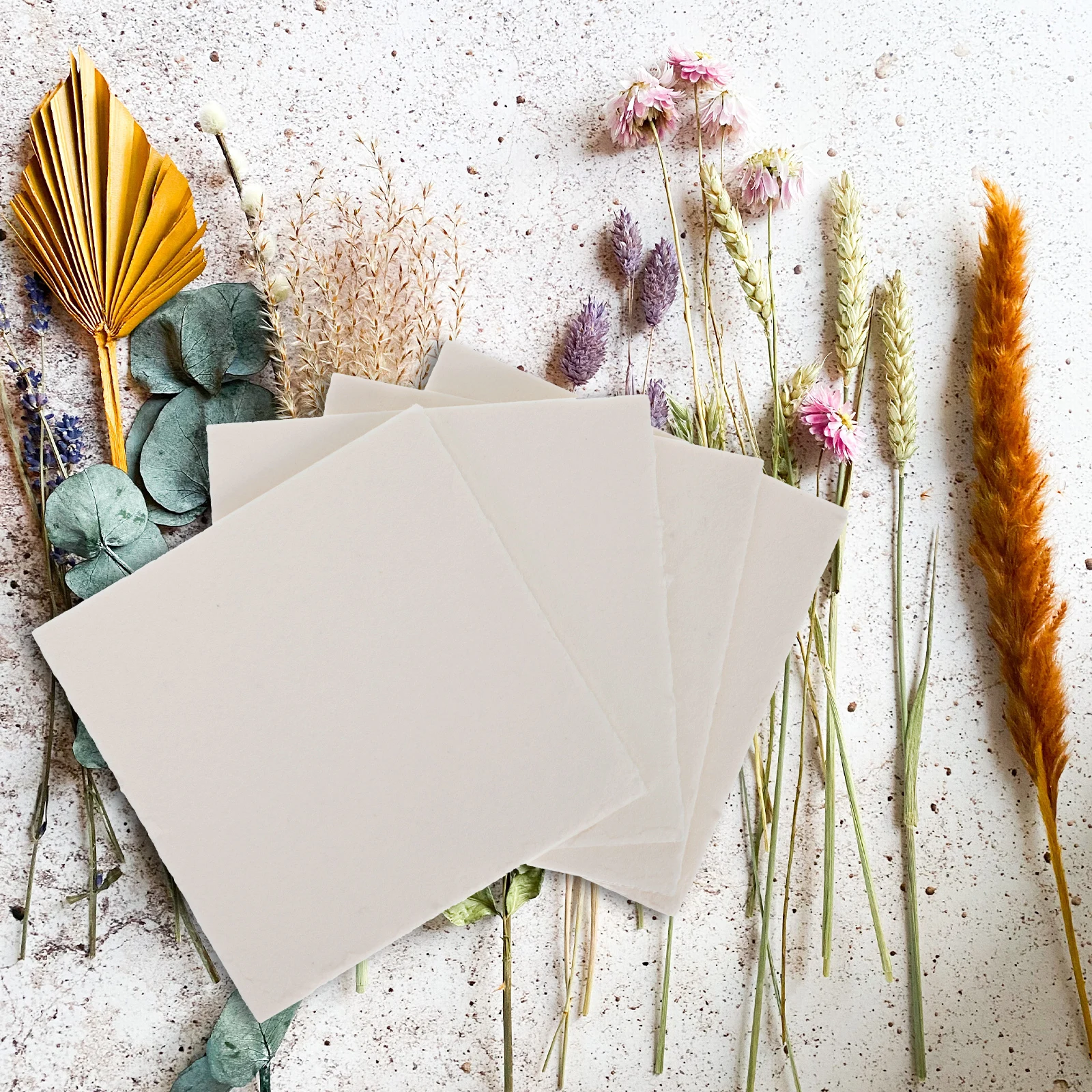 4pcs Flower Press Boards Blotting Paper for Dried Flowers White Cardboard Plant Press Tool Outdoor Learning Specimen Pressing
4pcs Flower Press Boards Blotting Paper for Dried Flowers White Cardboard Plant Press Tool Outdoor Learning Specimen Pressing