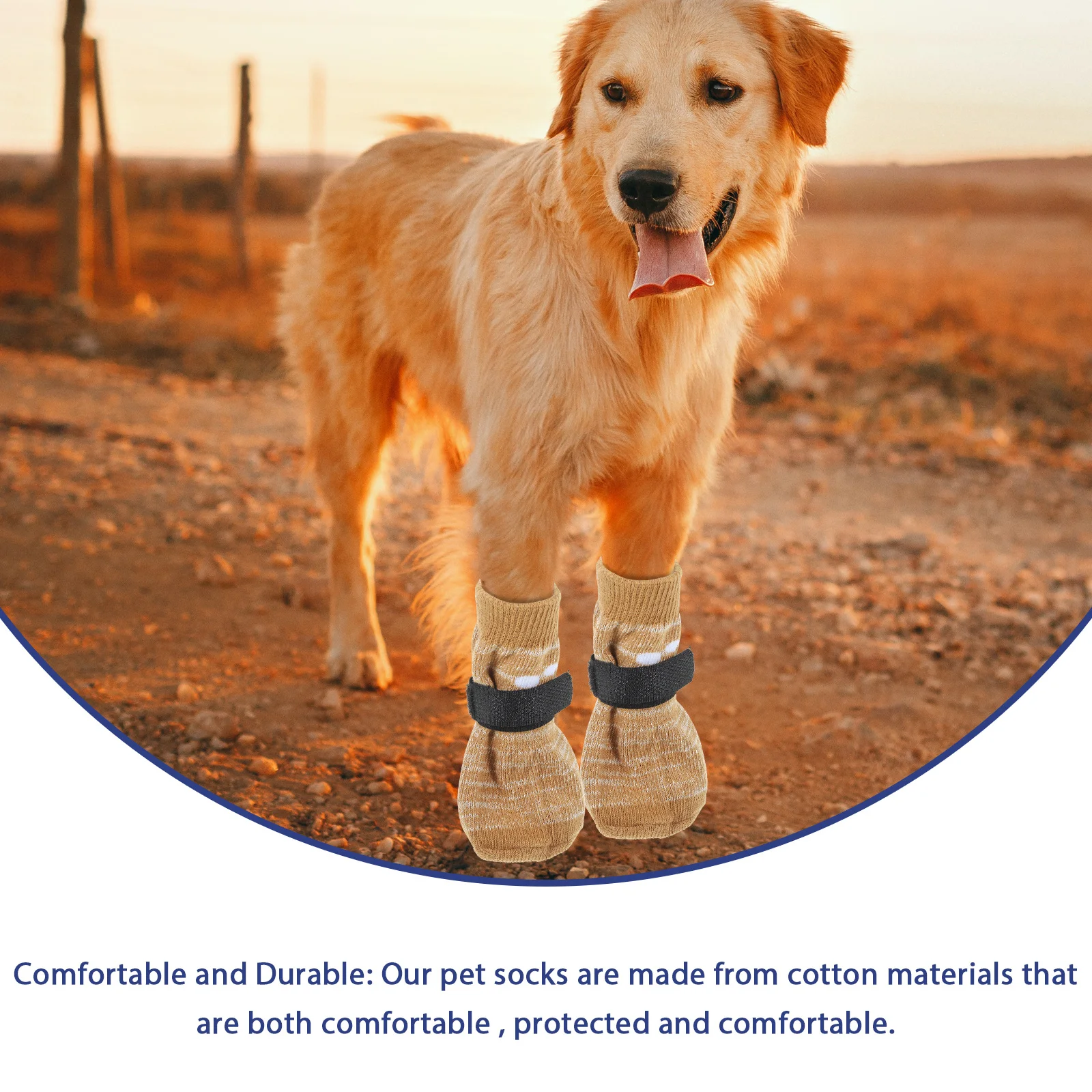 4Pcs Washable Pet Socks for Dogs Non-Slip Bottom Breathable Cotton Material Portable Paw Protectors for Indoor Outdoor Use
4Pcs Washable Pet Socks for Dogs Non-Slip Bottom Breathable Cotton Material Portable Paw Protectors for Indoor Outdoor Use
