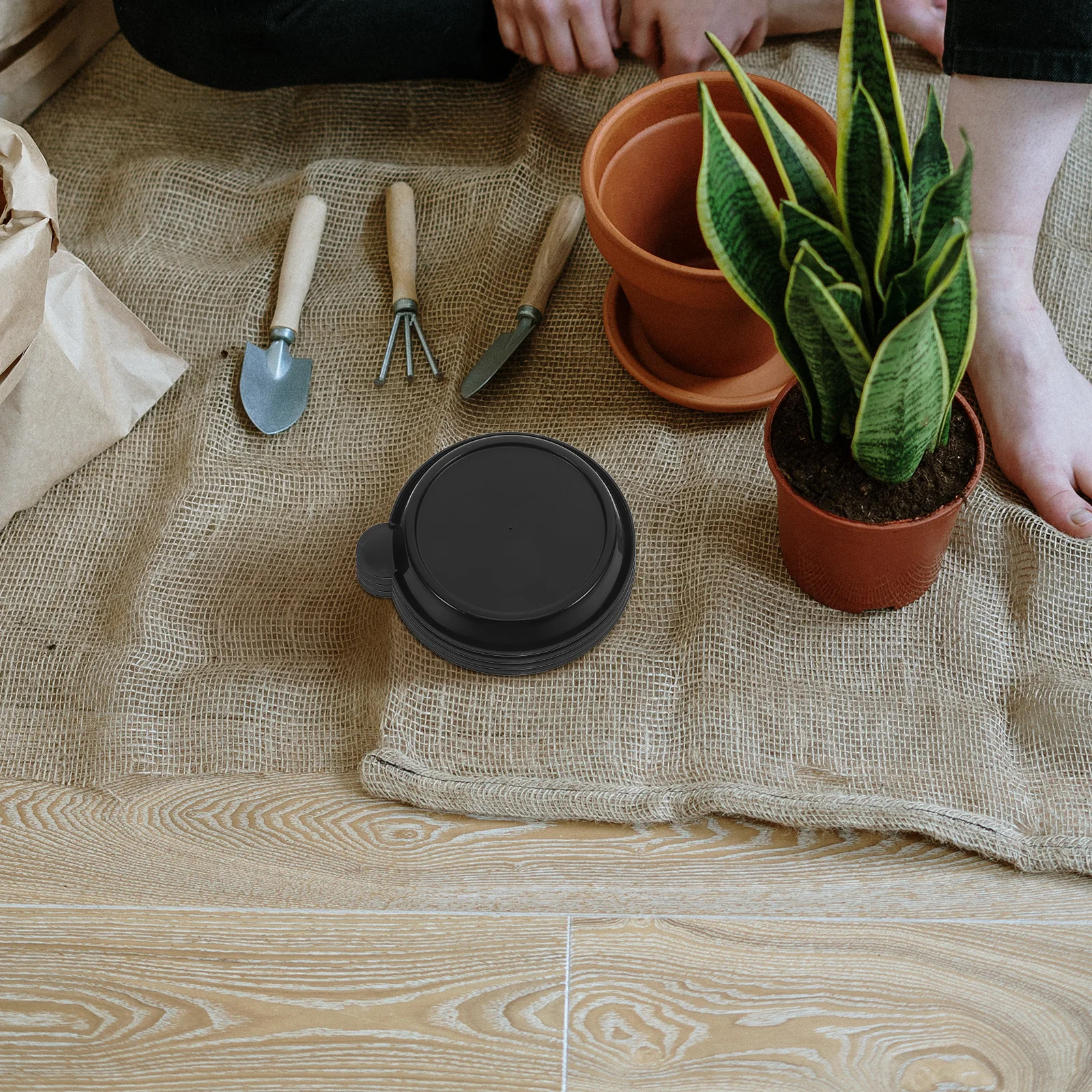 10pcs Succulent Plant Pot Tray 8.2Cm Black Plastic Drip Saucer For Bonsai Small Plants Garden Balcony Deep Slot Sturdy Holder
10pcs Succulent Plant Pot Tray 8.2Cm Black Plastic Drip Saucer For Bonsai Small Plants Garden Balcony Deep Slot Sturdy Holder