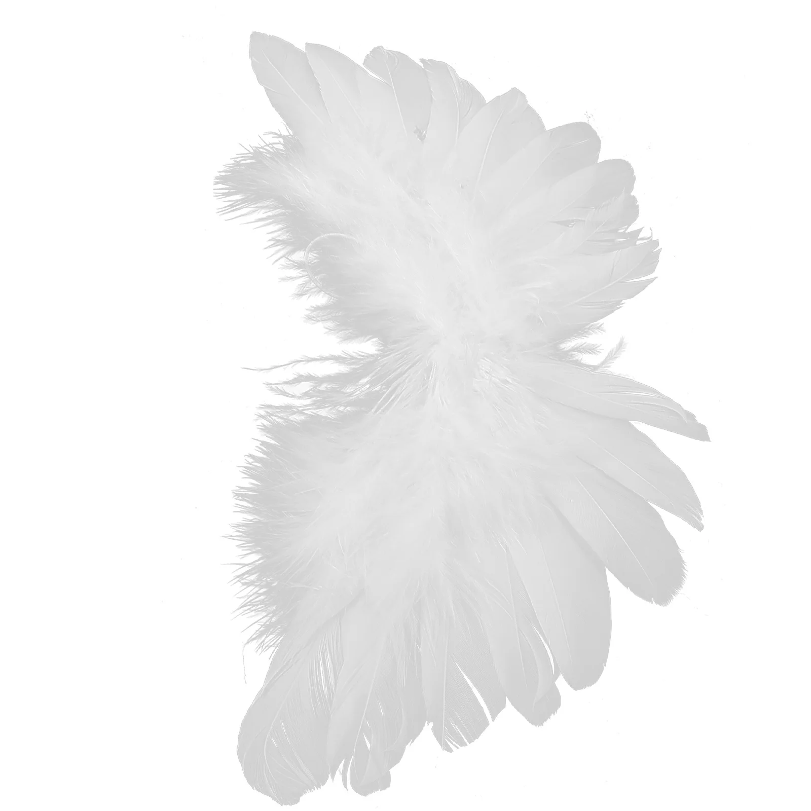 Wings for Bjd Decorative Feathered Wing Accessory Lightweight Costume Display Figure Enhancement
Wings for Bjd Decorative Feathered Wing Accessory Lightweight Costume Display Figure Enhancement