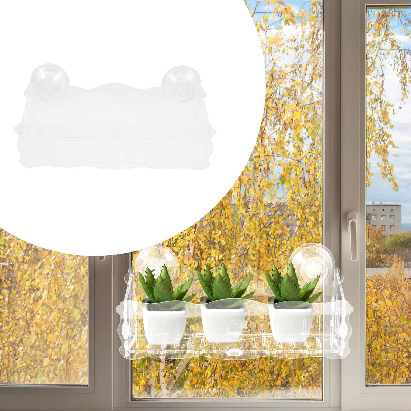 Suction Cup Flower Pot Clear Acrylic Window Planter Holder Storage Rack Organizer Large Size Fits Plants Corrugated Design
Suction Cup Flower Pot Clear Acrylic Window Planter Holder Storage Rack Organizer Large Size Fits Plants Corrugated Design