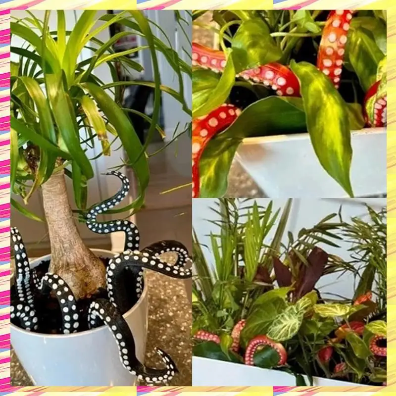 ABJJ Tentacle Plant Decoration, Octopus Plant Tentacle Art Octopus Interior Decoration Garden, Plant Ornaments
ABJJ Tentacle Plant Decoration, Octopus Plant Tentacle Art Octopus Interior Decoration Garden, Plant Ornaments
