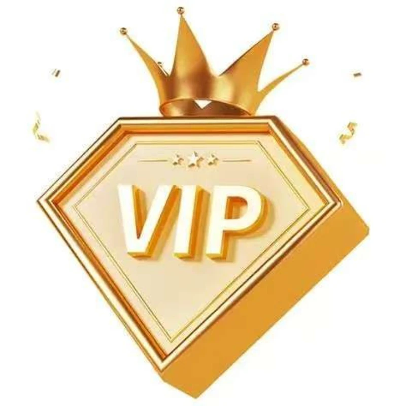 VIP Customer Payment Link
VIP Customer Payment Link