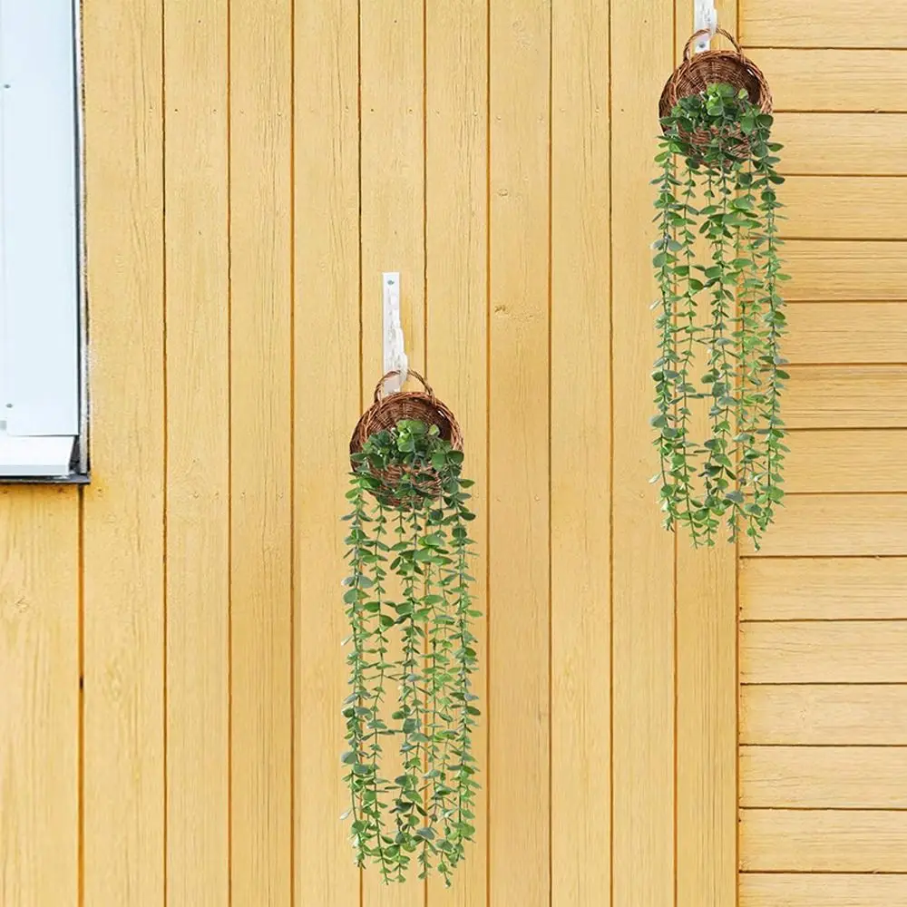 Plastic Material Persian Fern Leaves Leaf Grass Texture Succulent Shape Artificial Plant Hanging Style Vine Design
Plastic Material Persian Fern Leaves Leaf Grass Texture Succulent Shape Artificial Plant Hanging Style Vine Design