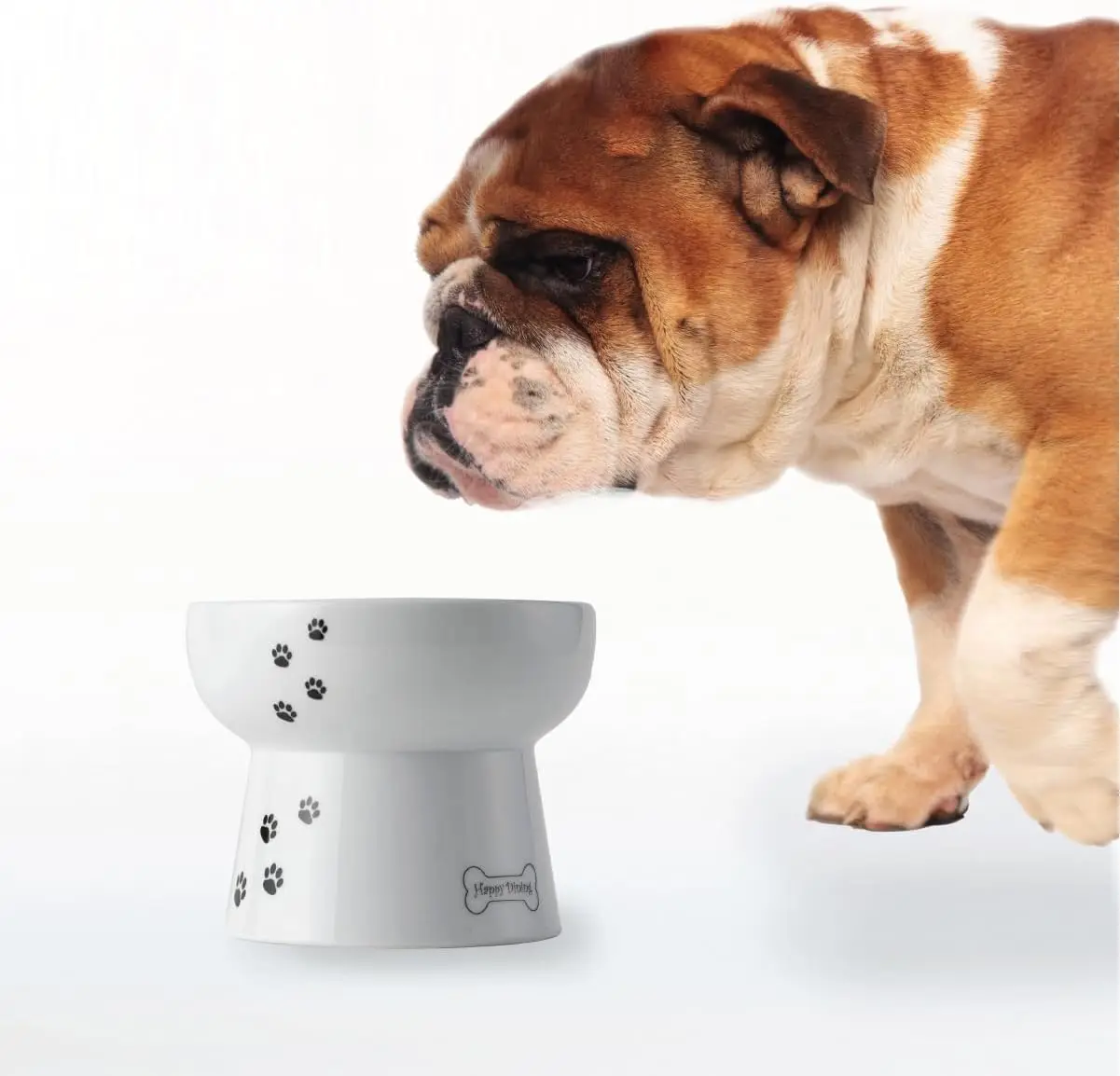 Elevated Pet Water Bowl for Dogs and Cats, Non-Slip Dishwasher Safe Feeder, Japan's Top Seller
Elevated Pet Water Bowl for Dogs and Cats, Non-Slip Dishwasher Safe Feeder, Japan's Top Seller