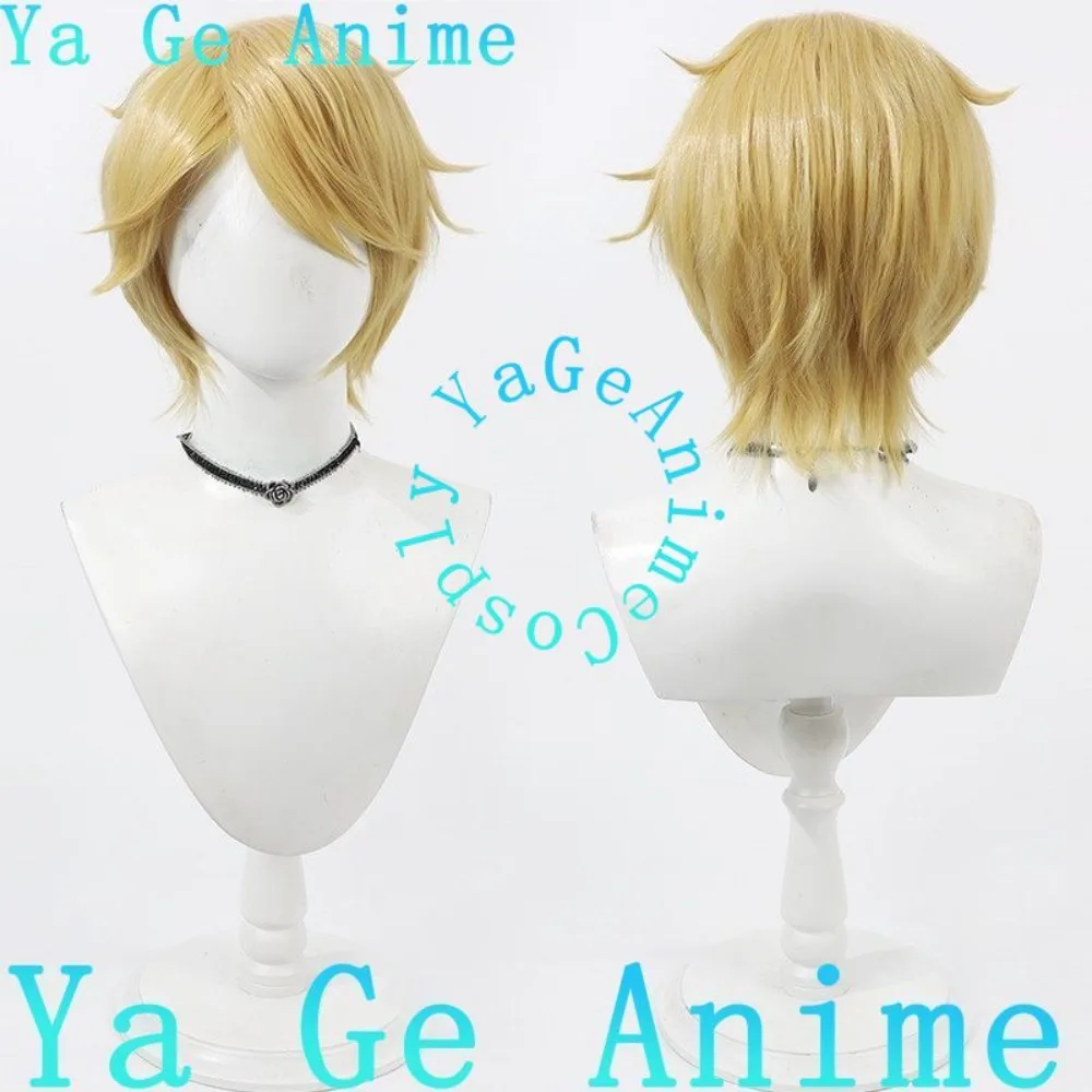 Парик для косплея почтальона из Identity V, для аниме, игр, Хэллоуина, карнавала, вечеринок, синтетический, термостойкий
Парик для косплея почтальона из Identity V, для аниме, игр, Хэллоуина, карнавала, вечеринок, синтетический, термостойкий