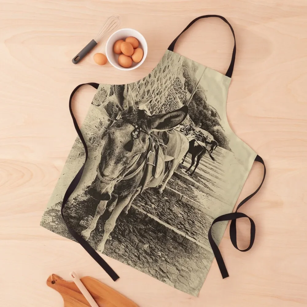 Antique style sepia photograph, Travel Donkey Apron professional kitchen Kitchen For Man Apron
Antique style sepia photograph, Travel Donkey Apron professional kitchen Kitchen For Man Apron