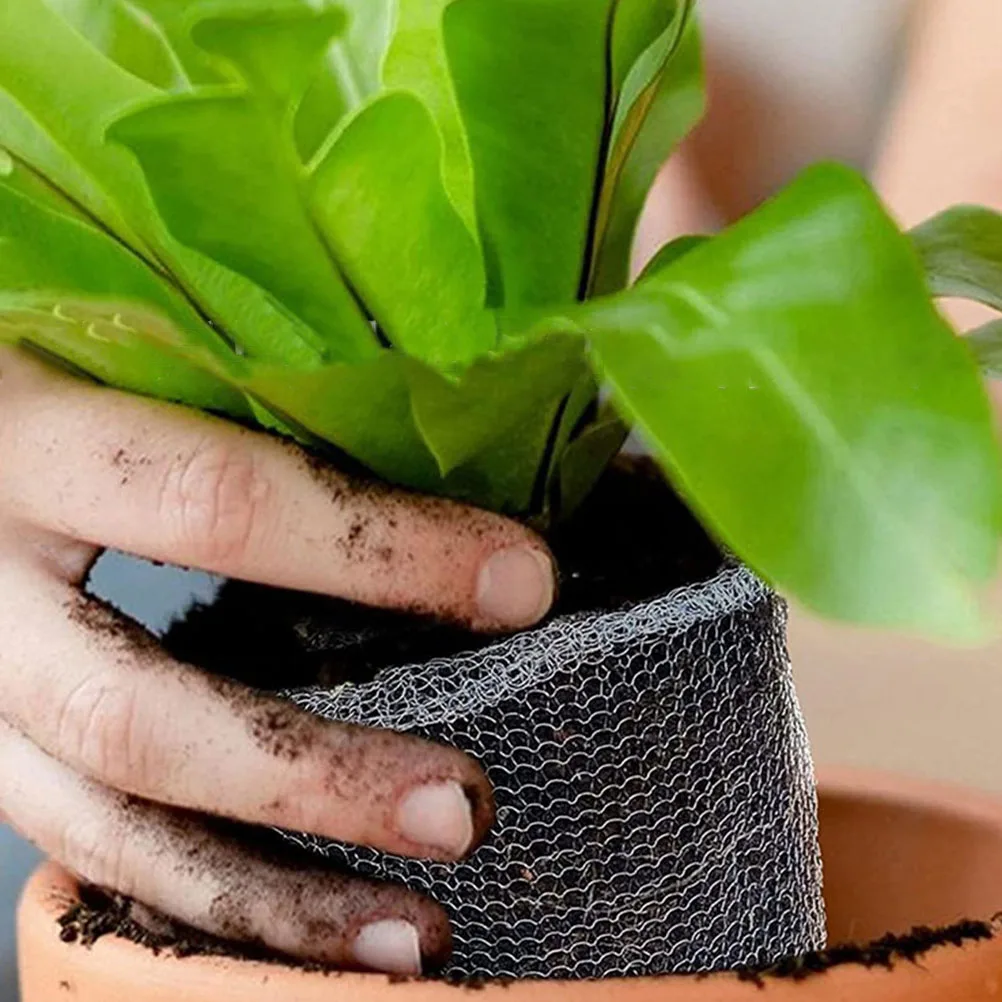 6 Pcs 10x9 Inches 25g Stainless Steel Mesh Bags Plant Root Protectors Gardening Accessories Garden Netting Outdoor Basket
6 Pcs 10x9 Inches 25g Stainless Steel Mesh Bags Plant Root Protectors Gardening Accessories Garden Netting Outdoor Basket
