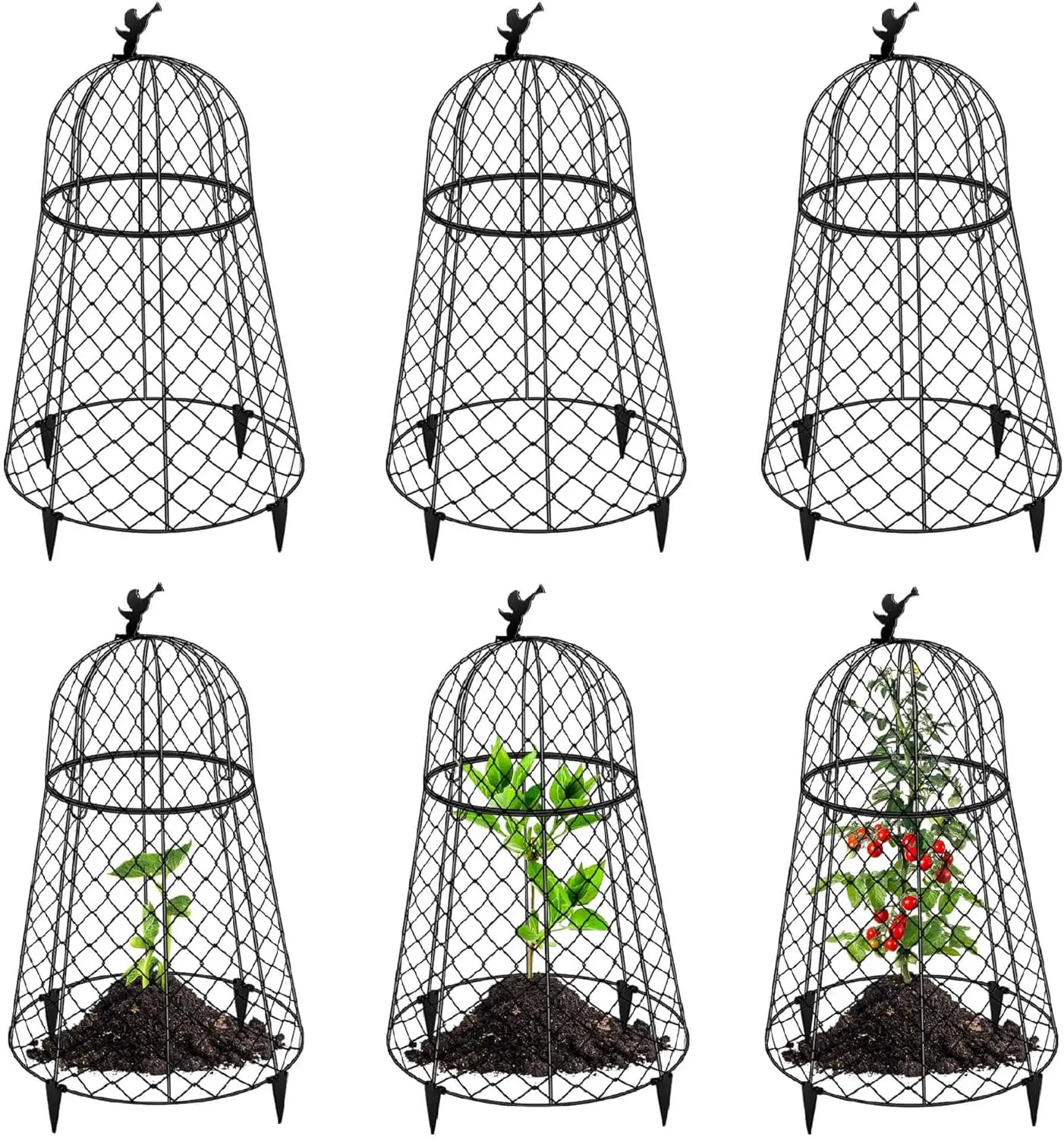Large Garden Cloches for Plant Protection, Rustproof Chicken Wire Covers, 13" D x 20" H, Keep Animals Out, 6-Pack
Large Garden Cloches for Plant Protection, Rustproof Chicken Wire Covers, 13" D x 20" H, Keep Animals Out, 6-Pack
