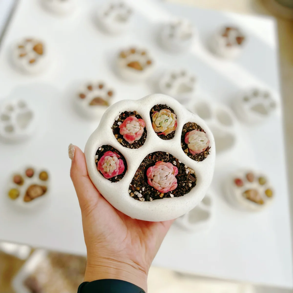 Handmade Flower Pot Stone Flower Succulent Plant Pot Cement Root Breathable Balcony Interior Decoration Cute Cat Flowerpot
Handmade Flower Pot Stone Flower Succulent Plant Pot Cement Root Breathable Balcony Interior Decoration Cute Cat Flowerpot