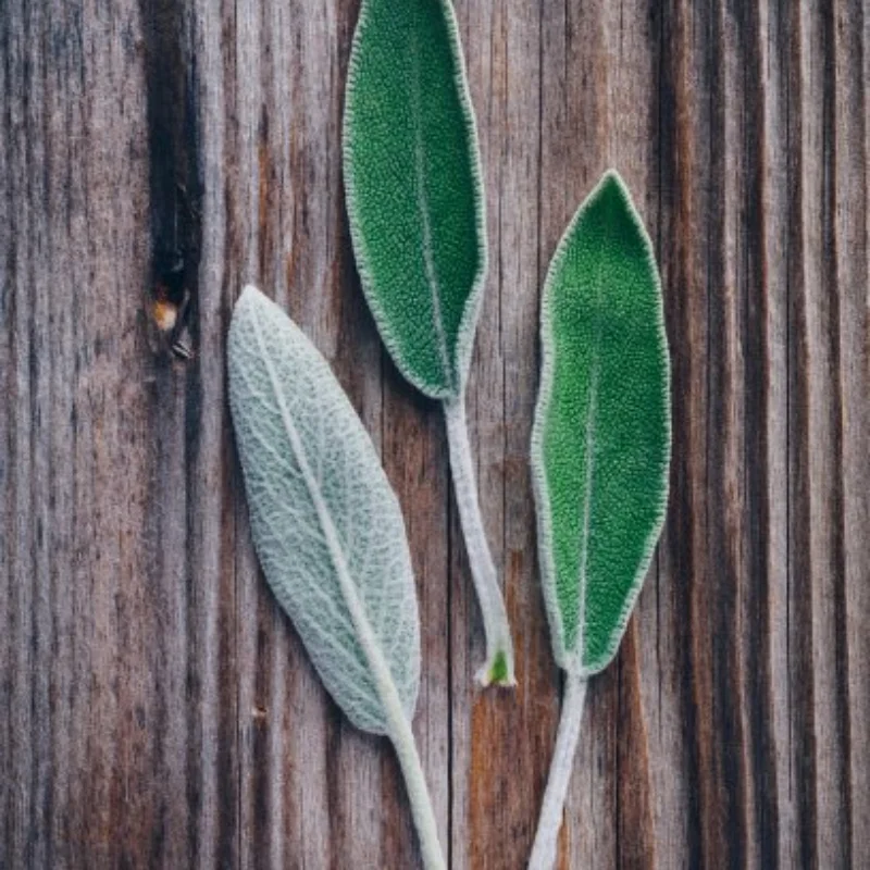 Для Arrma1/18 гранитных решеток, маленьких гранитных шин на большой ноге, шины для копания песка, снежных шин, пляжных шин
Для Arrma1/18 гранитных решеток, маленьких гранитных шин на большой ноге, шины для копания песка, снежных шин, пляжных шин