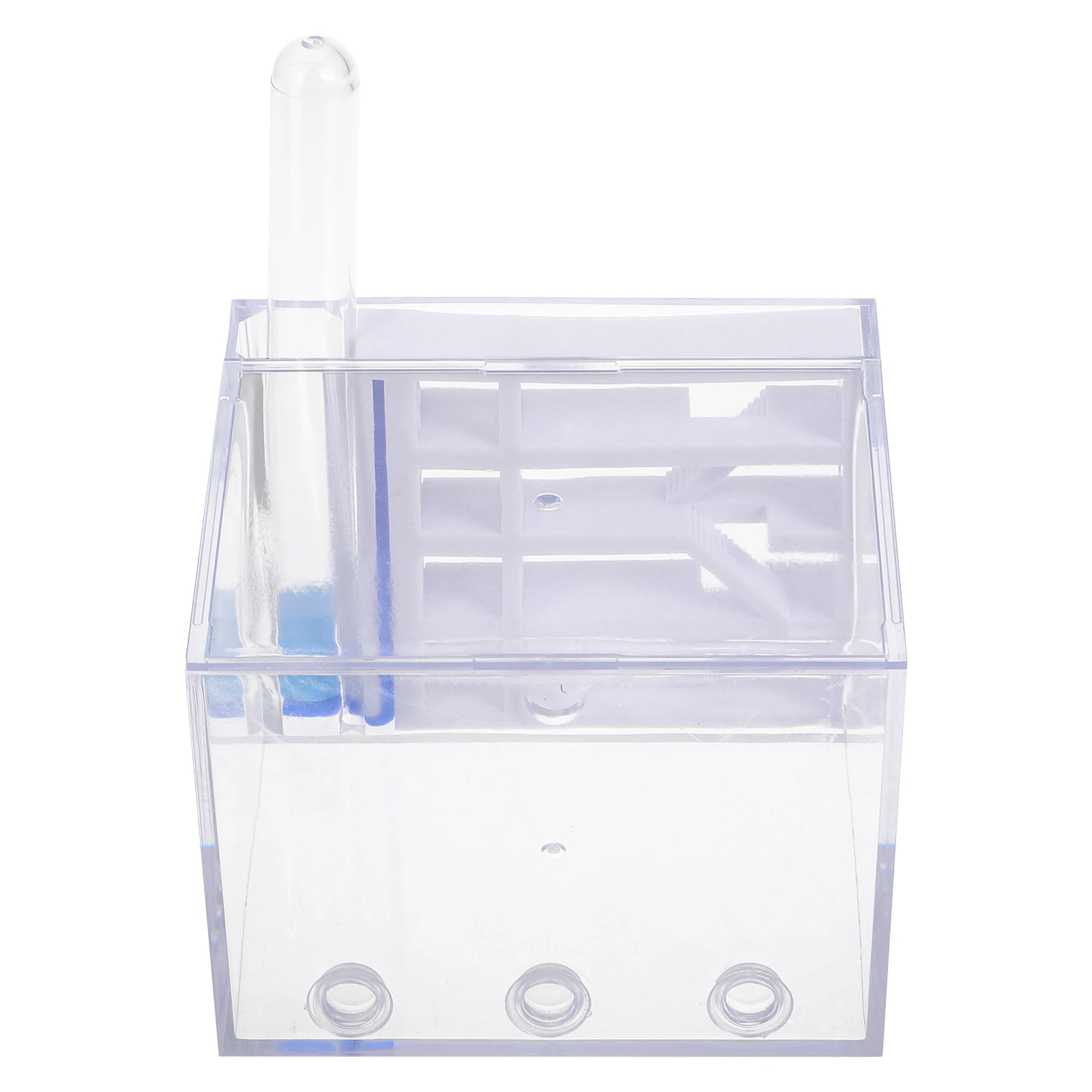 Ant Castle Acrylic Nest House Science Kit Habitat Observation Small Ants Farm Tubes Educational Toy Kids Students Live Project
Ant Castle Acrylic Nest House Science Kit Habitat Observation Small Ants Farm Tubes Educational Toy Kids Students Live Project