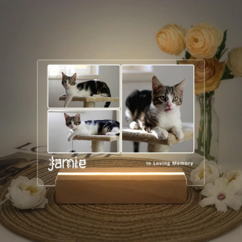 Personalized Pet Memorial Plaque Custom Engraved with Photo and Name Unique Sympathy Gift for Loss of Dog Cat Wooden Display
Personalized Pet Memorial Plaque Custom Engraved with Photo and Name Unique Sympathy Gift for Loss of Dog Cat Wooden Display