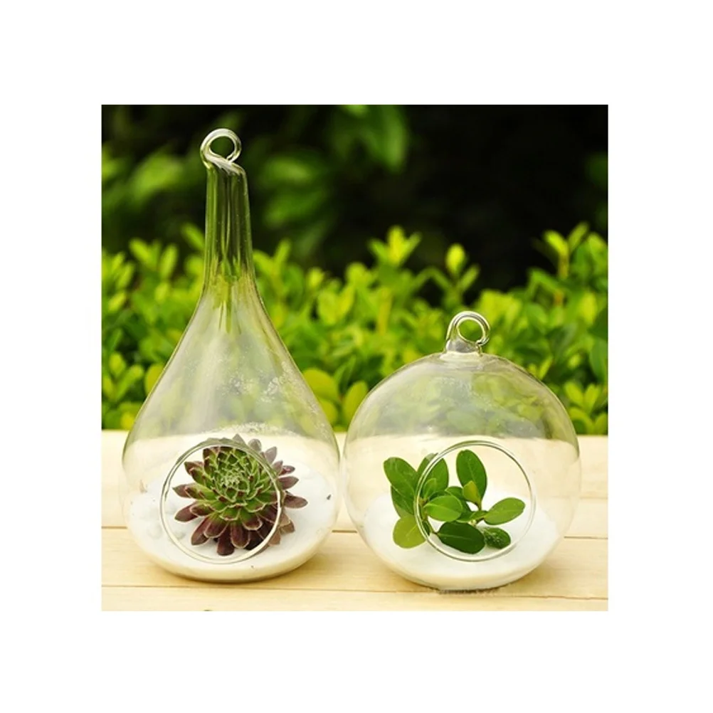 Hanging Glass Planter Transparent Terrarium Vase for Air Plants Succulents Indoor Home Decor Hanging Plant Terrarium
Hanging Glass Planter Transparent Terrarium Vase for Air Plants Succulents Indoor Home Decor Hanging Plant Terrarium