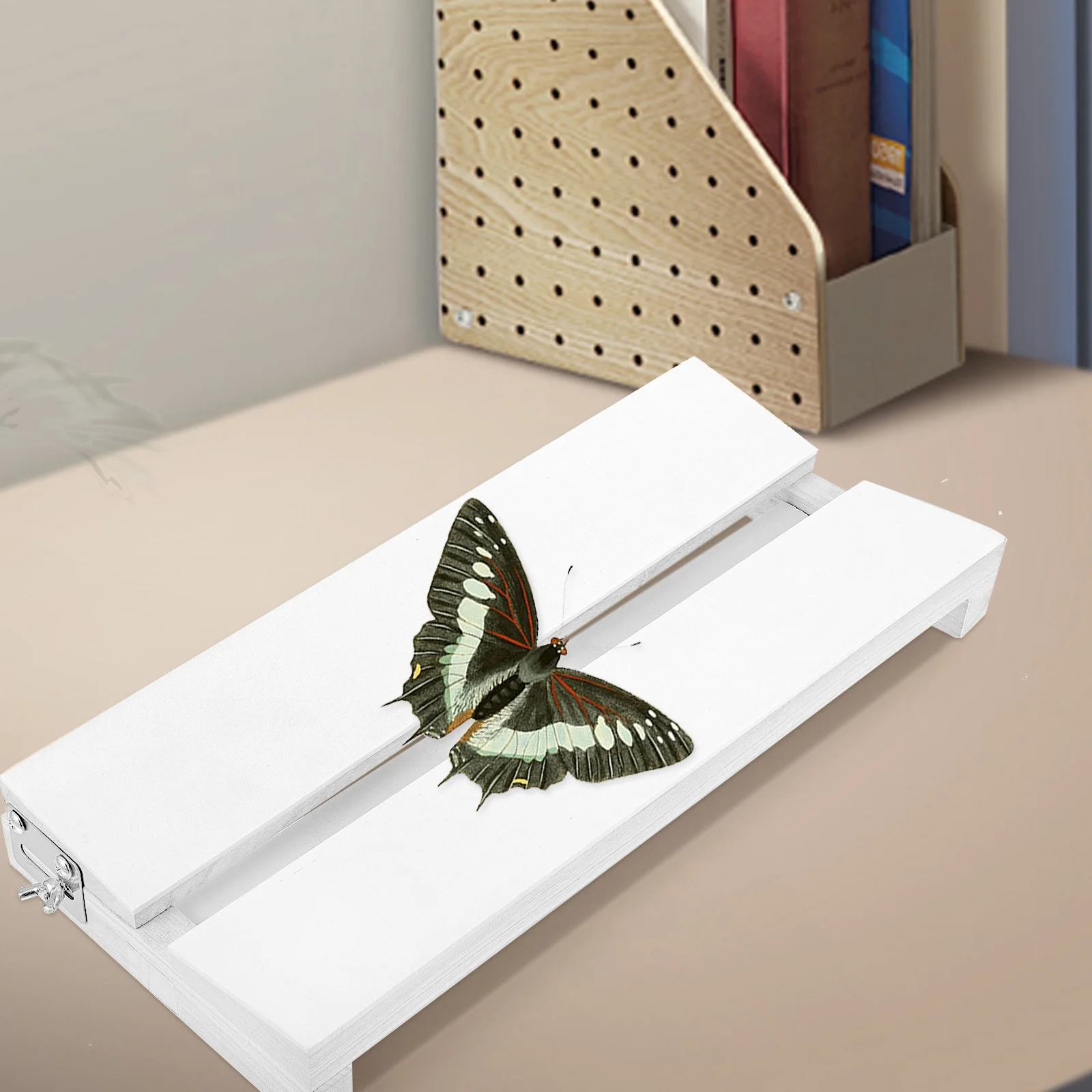 Butterfly Specimen Tool Board Insect Wing Miniature Mounting Spreading Boards Kit Material Practical Lightweight
Butterfly Specimen Tool Board Insect Wing Miniature Mounting Spreading Boards Kit Material Practical Lightweight