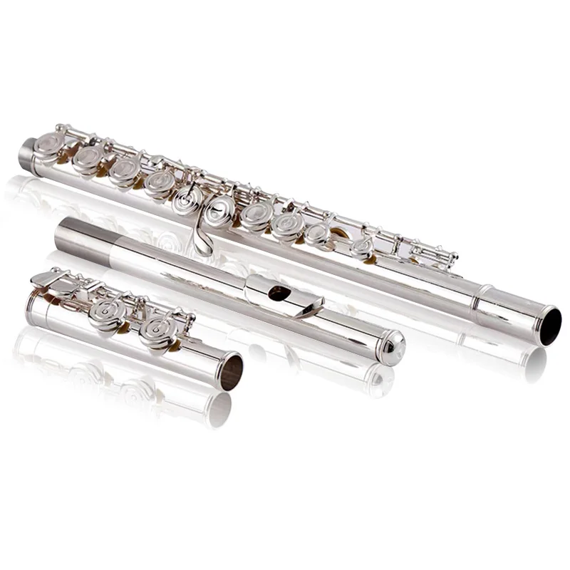 Hooqu Wholesale Musical Instrument Flute Cupronickel Silver-plated Custom Flutes E Flute Gifts
Hooqu Wholesale Musical Instrument Flute Cupronickel Silver-plated Custom Flutes E Flute Gifts