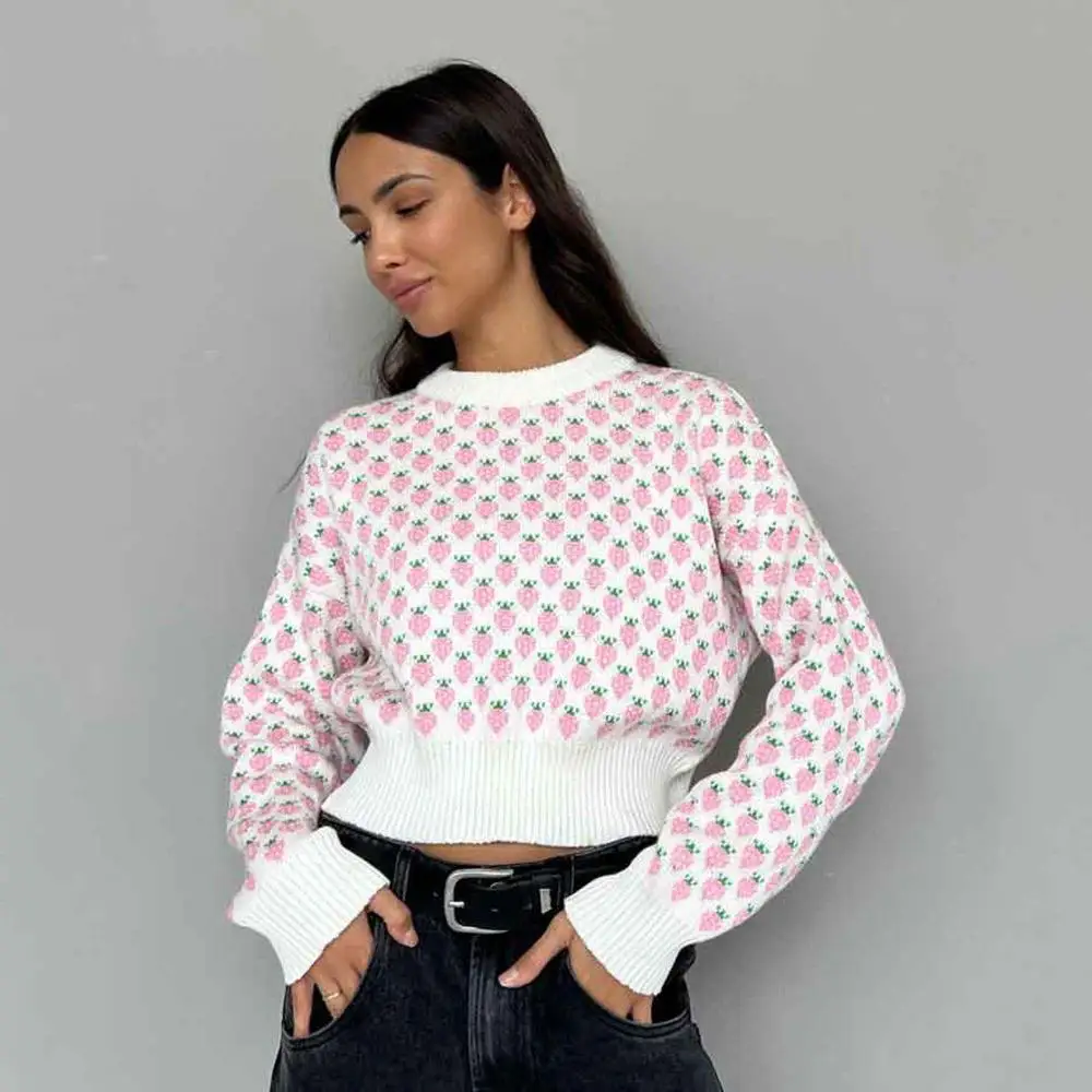 Strawberry Patterned Short Sleeve Long Sleeve Women's Knitwear round Neck Pullover Thickened Autumn Winter New Style Fashion
Strawberry Patterned Short Sleeve Long Sleeve Women's Knitwear round Neck Pullover Thickened Autumn Winter New Style Fashion