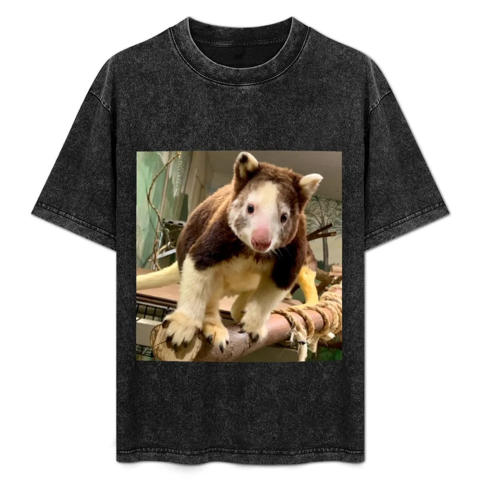 Tree Kangaroo T-Shirt High Elasticity Sports Tee Shirt
Tree Kangaroo T-Shirt High Elasticity Sports Tee Shirt