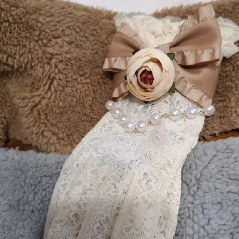 Romantic Victorian Beige Lace Gloves with Rose Bow & Pearl Chain Elegant Short Gloves for Wedding Tea Party Lolita Cosplay
Romantic Victorian Beige Lace Gloves with Rose Bow & Pearl Chain Elegant Short Gloves for Wedding Tea Party Lolita Cosplay