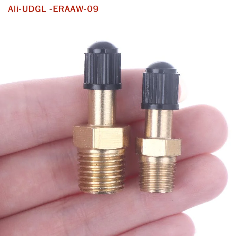 Single Unit Anti-Wear Schrader Valve 1/4 NPT 1/8 NPT M10 for Compressed Air Tanks, Auto Tire Fill
Single Unit Anti-Wear Schrader Valve 1/4 NPT 1/8 NPT M10 for Compressed Air Tanks, Auto Tire Fill