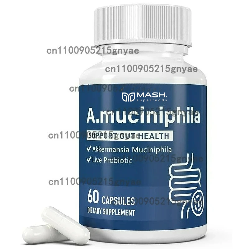 Akkermansia Probiotics Bacillus Subtilis Containing Vitamin B2, D3, and Chromium - Weight and Gut Management
Akkermansia Probiotics Bacillus Subtilis Containing Vitamin B2, D3, and Chromium - Weight and Gut Management