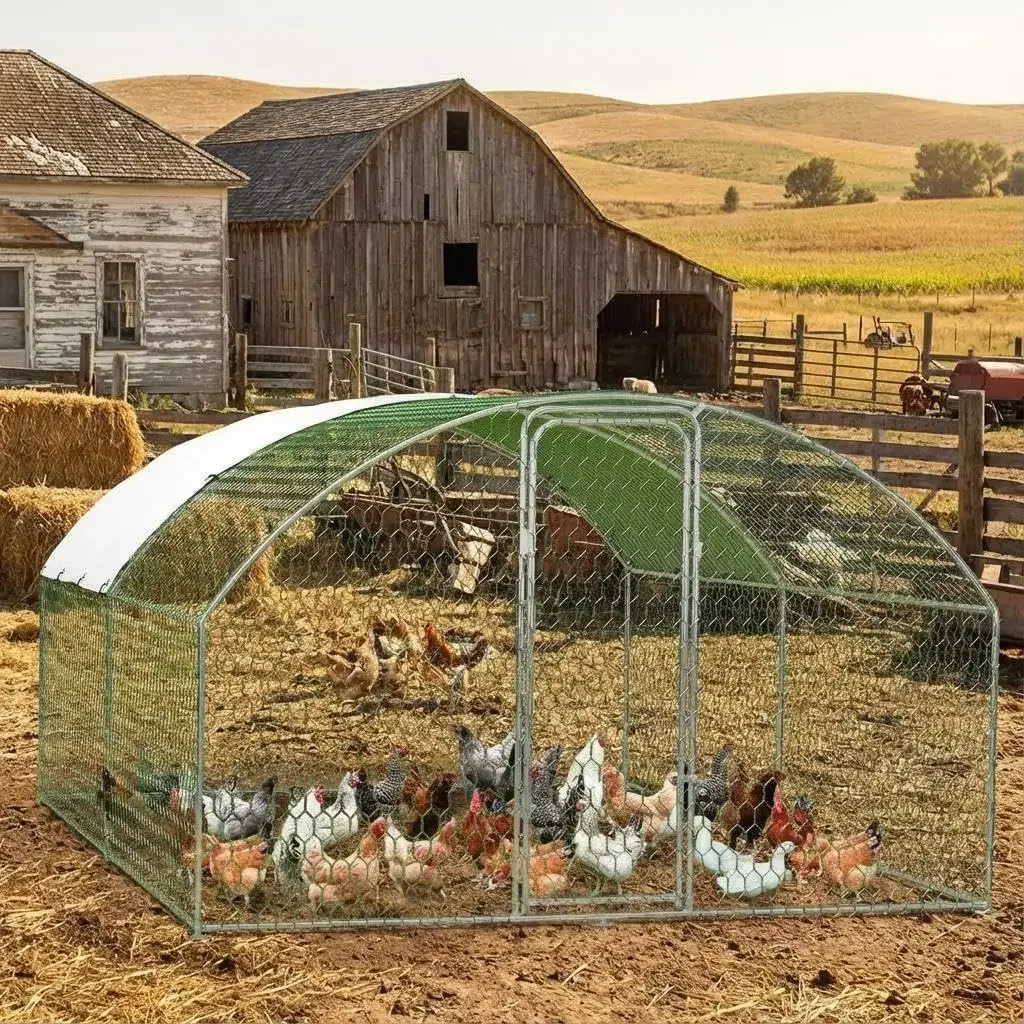 Large Yard Chicken Coop Metal Run Walk In Poultry Cage Outdoor Farm Roof
Large Yard Chicken Coop Metal Run Walk In Poultry Cage Outdoor Farm Roof