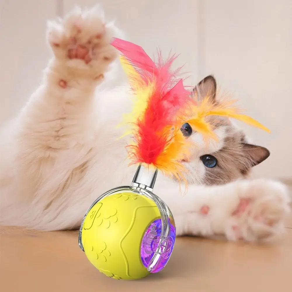 Faux Tail Cat Interactive Ball Rechargeable Flexible Automatic Rolling Ball Toy Imitate Mouse Silicone Pet Electric Toy Indoor
Faux Tail Cat Interactive Ball Rechargeable Flexible Automatic Rolling Ball Toy Imitate Mouse Silicone Pet Electric Toy Indoor