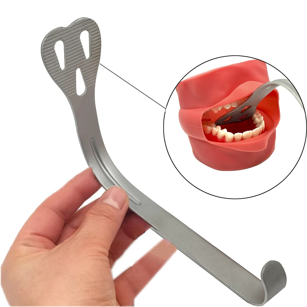 Dental Stainless Steel Mouth Opener Dental Lingual Isolation Retractor Mouth Retractor Dental Retractors Mouth Gag
Dental Stainless Steel Mouth Opener Dental Lingual Isolation Retractor Mouth Retractor Dental Retractors Mouth Gag