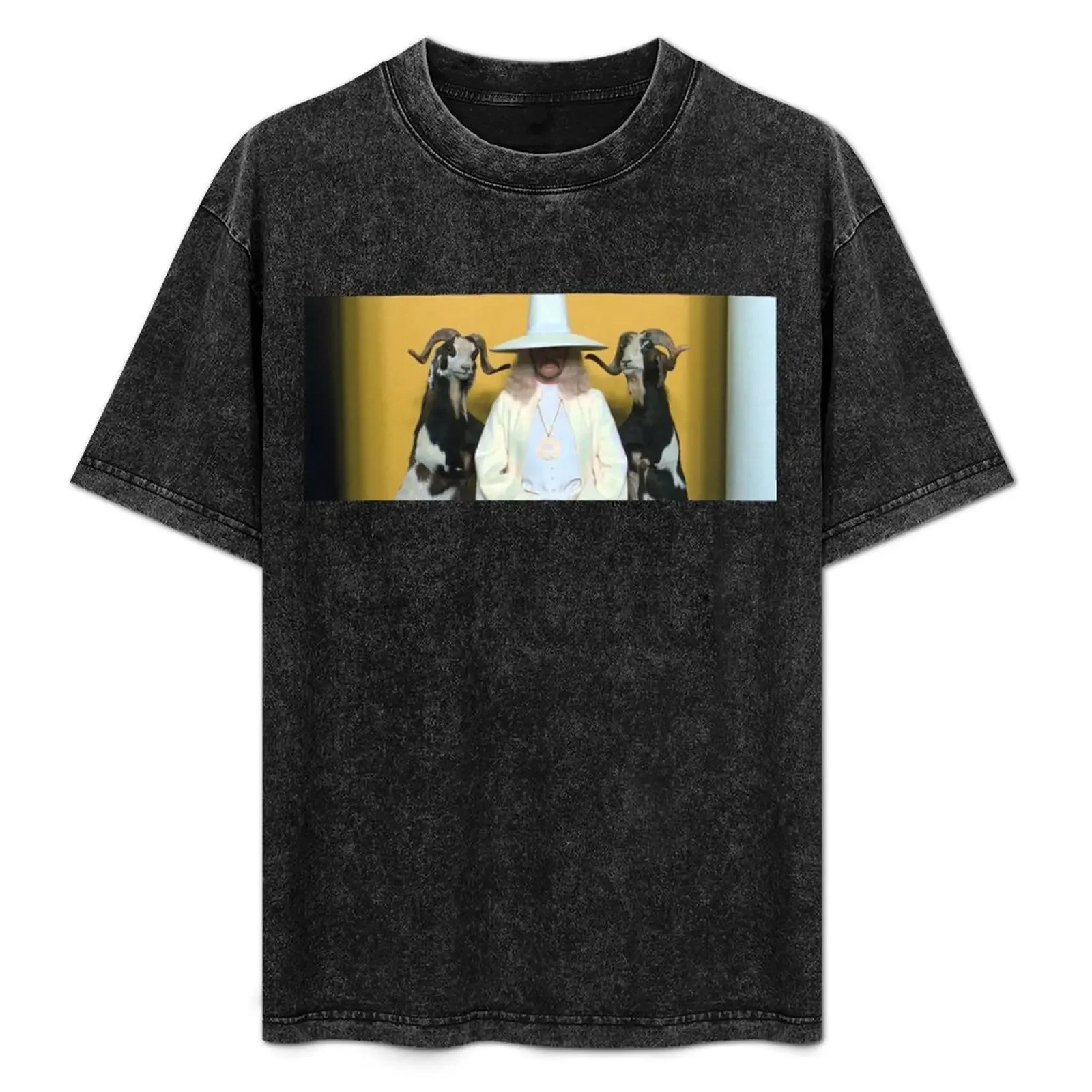 The Holy Mountain Alejandro Jodorowsky T-Shirt anime t shirts for man t shirt man plain T-Shirt 
The Holy Mountain Alejandro Jodorowsky T-Shirt anime t shirts for man t shirt man plain T-Shirt