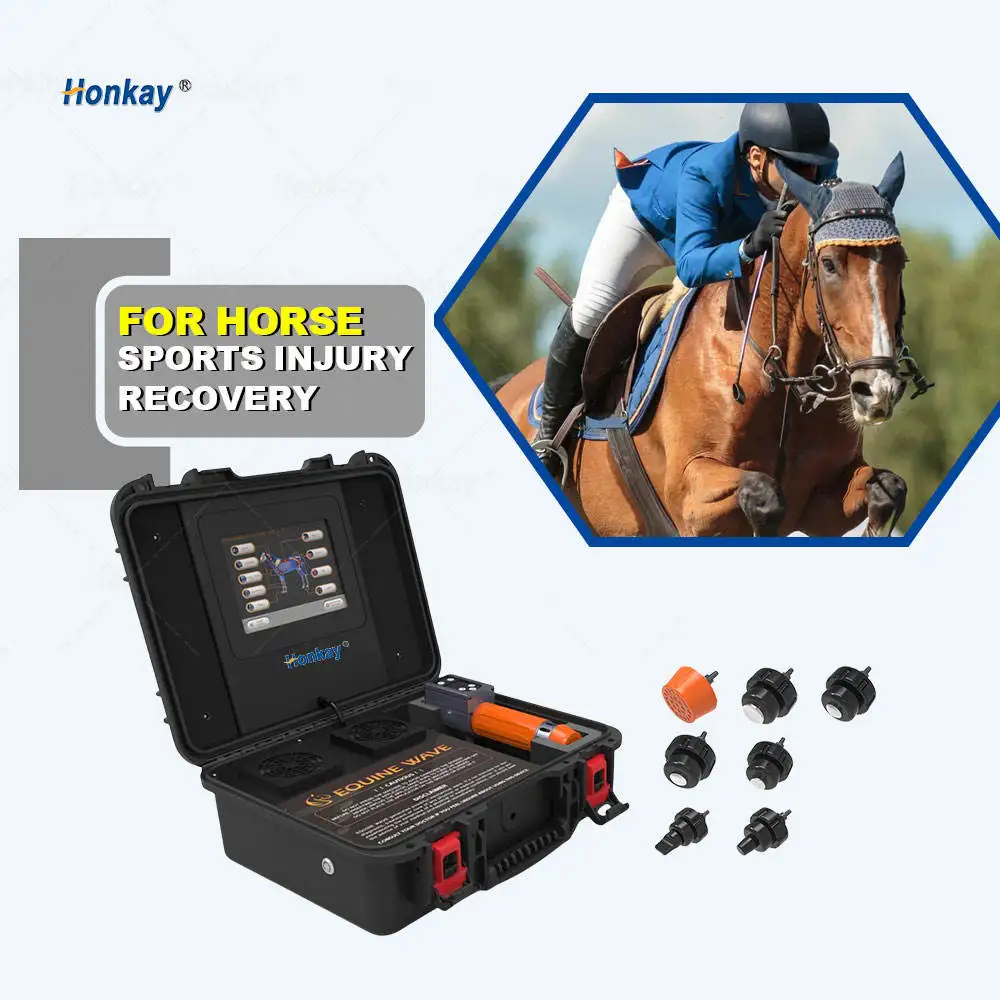 Physiotherapy Physical Therapy Equipment Shockwave Therapy Machine for Back Bone Pain Rehabilitation Massage Massages
Physiotherapy Physical Therapy Equipment Shockwave Therapy Machine for Back Bone Pain Rehabilitation Massage Massages