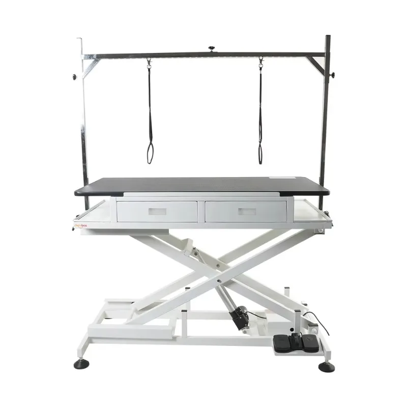 New Electric Lifting Pet Dog Grooming Table With 2 Drawers
New Electric Lifting Pet Dog Grooming Table With 2 Drawers