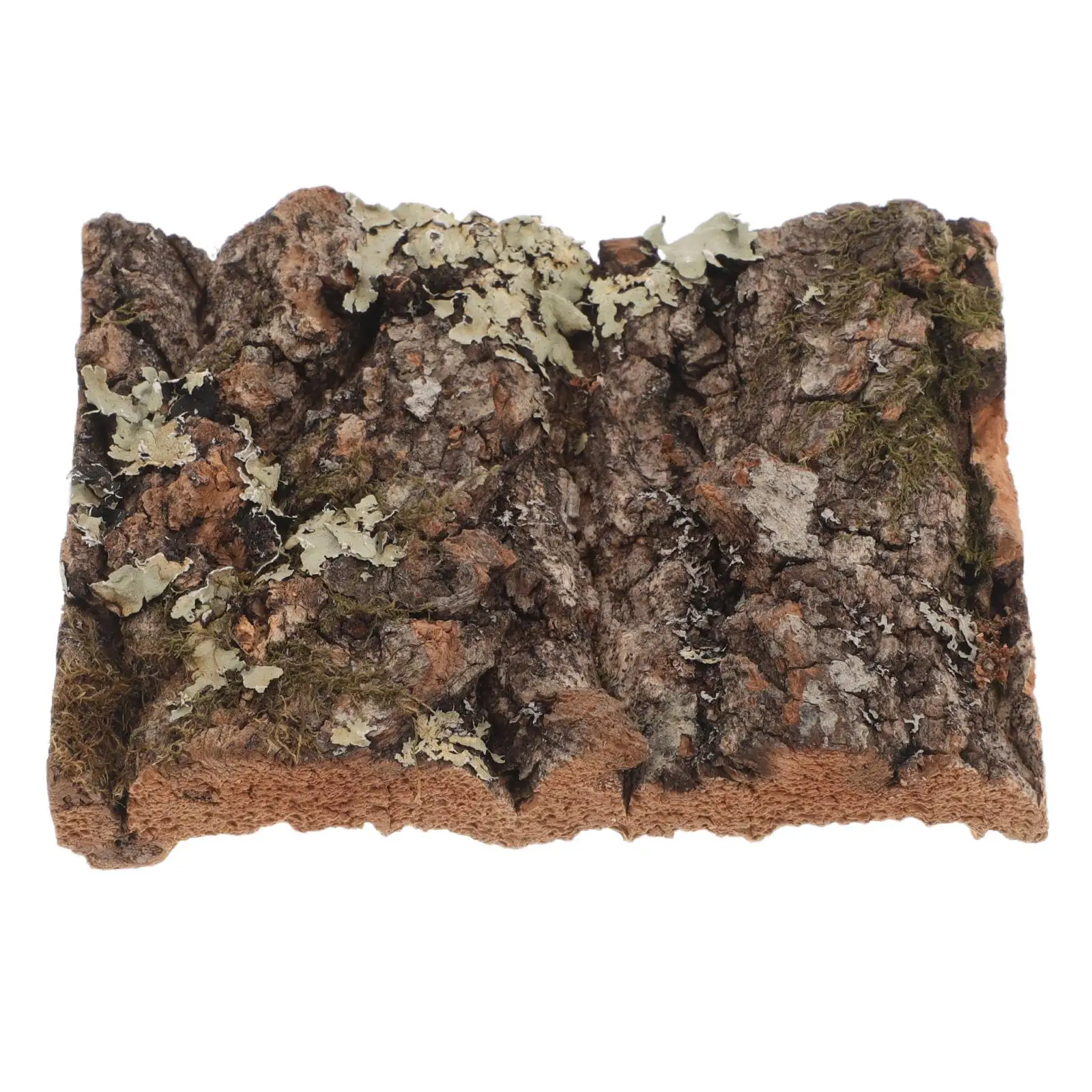 Cork Decorations Leopard Print Decor Reptile Background Fish Tank Artificial Bark Tree Bark Pet Supplies
Cork Decorations Leopard Print Decor Reptile Background Fish Tank Artificial Bark Tree Bark Pet Supplies