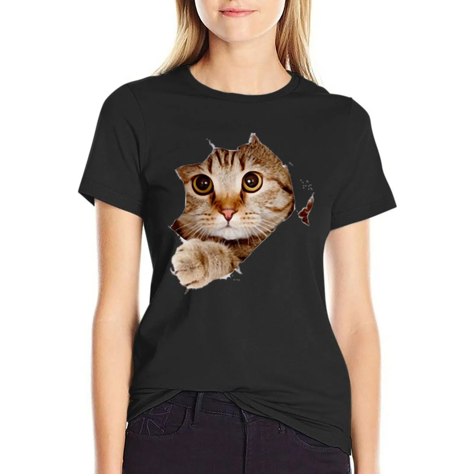 Cute Cat Funny Cat Lovely Cat T-Shirt graphics quick drying customizeds Summer Women's clothing
Cute Cat Funny Cat Lovely Cat T-Shirt graphics quick drying customizeds Summer Women's clothing