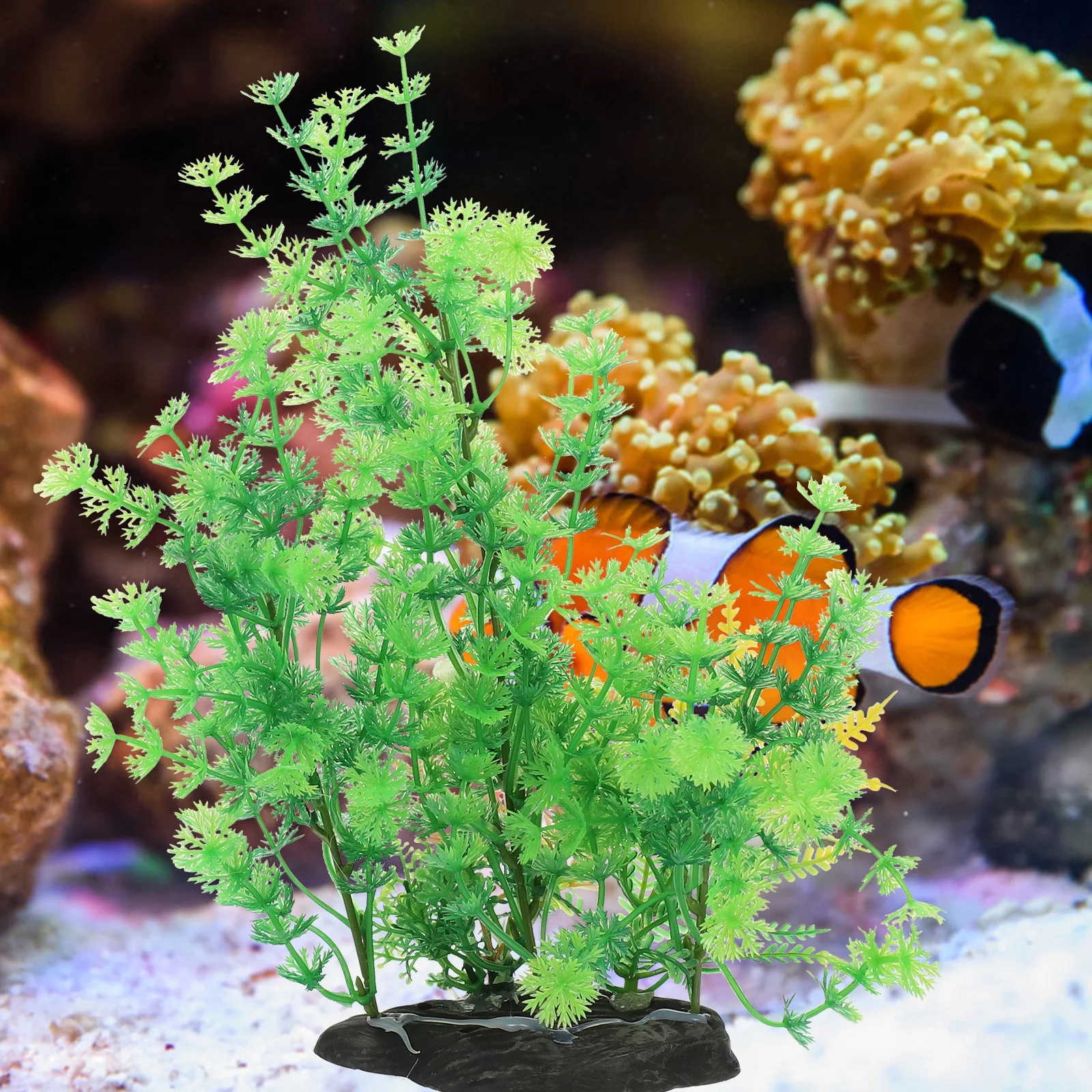 2Pcs Artificial Aquarium Plant Fish Tank Decoration Lifelike Vivid Faux Plants Safe Durable Aquarium Supplies Fish Tank Plants
2Pcs Artificial Aquarium Plant Fish Tank Decoration Lifelike Vivid Faux Plants Safe Durable Aquarium Supplies Fish Tank Plants
