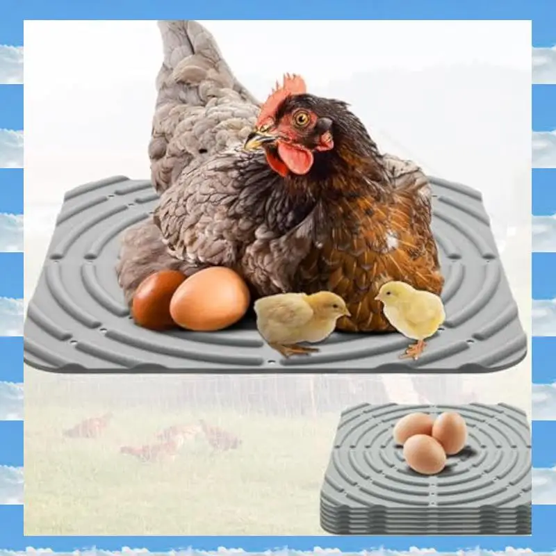 A11I Chicken Coop Box Mat, Washable Laying Chicken Coop Mat Chicken Coop Box Lining Durable Easy Install Easy To Use
A11I Chicken Coop Box Mat, Washable Laying Chicken Coop Mat Chicken Coop Box Lining Durable Easy Install Easy To Use