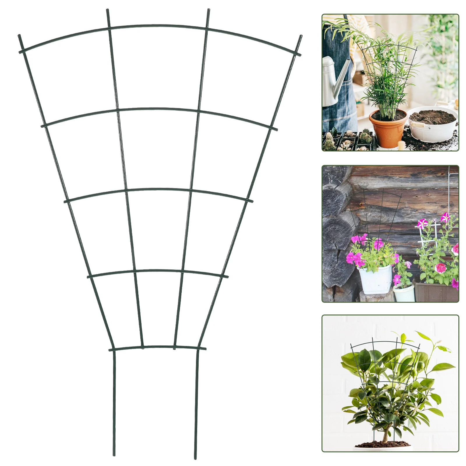 Climbing Support Frame for Peony Flower Potted Plants Trellis Arrangement Iron Rack Plant Climbing Rack Metal Supports Vine
Climbing Support Frame for Peony Flower Potted Plants Trellis Arrangement Iron Rack Plant Climbing Rack Metal Supports Vine