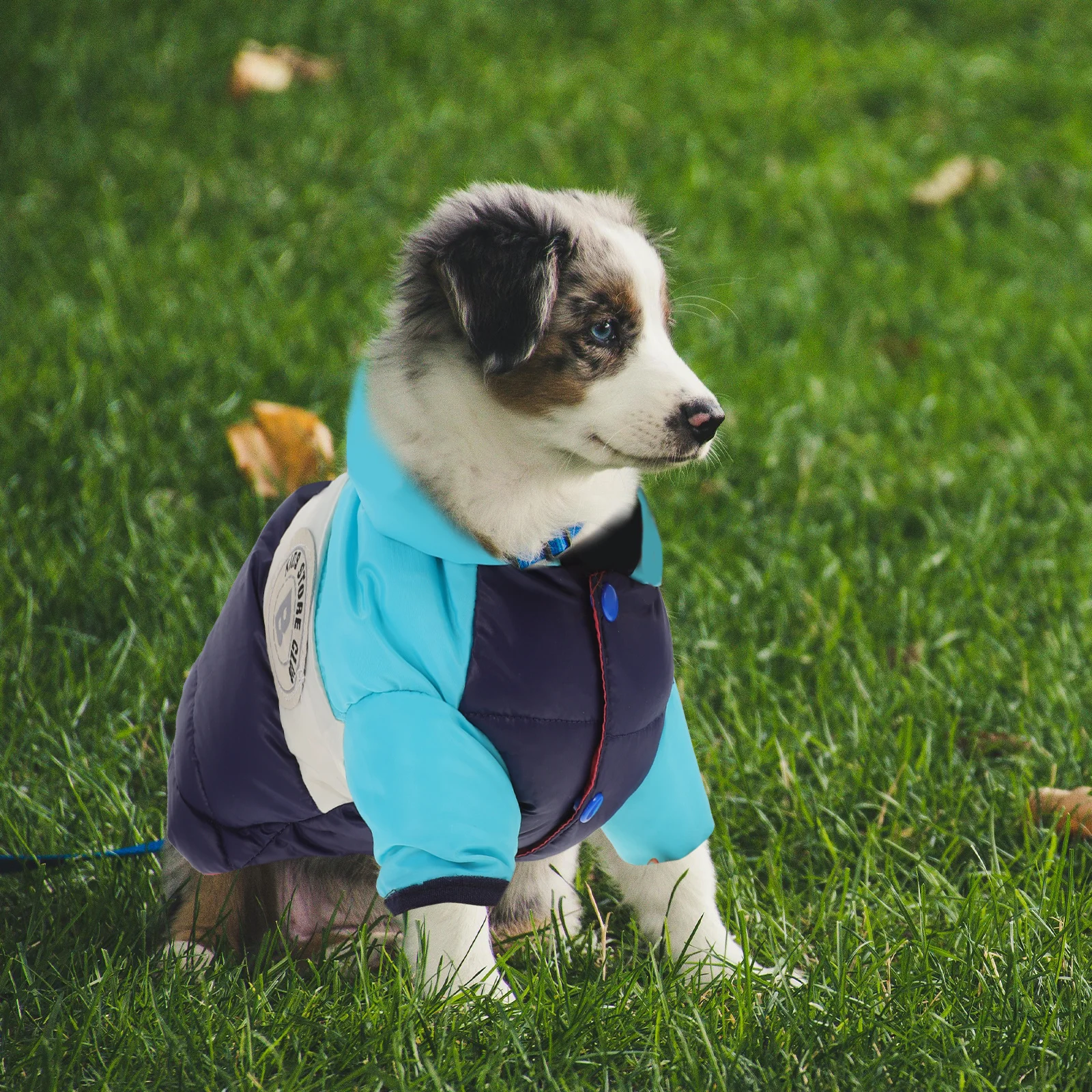 Dog Warm Vest Cotton Pet Outfit Winter Clothes Comfortable Soft Warm Puppy Costume Fashionable Outdoor Dog Vest
Dog Warm Vest Cotton Pet Outfit Winter Clothes Comfortable Soft Warm Puppy Costume Fashionable Outdoor Dog Vest
