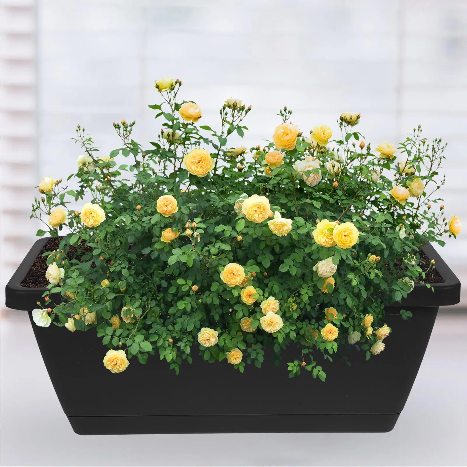 4 Pcs Flower Boxes Plastic Pot Indoor Plant Window Rectangle Outdoor Pots Planters for Plants
4 Pcs Flower Boxes Plastic Pot Indoor Plant Window Rectangle Outdoor Pots Planters for Plants
